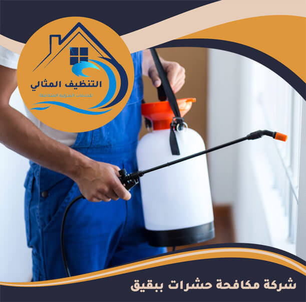 شركة مكافحة حشرات ببقيق
