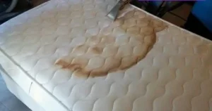 تنظيف المراتب القطن من البول